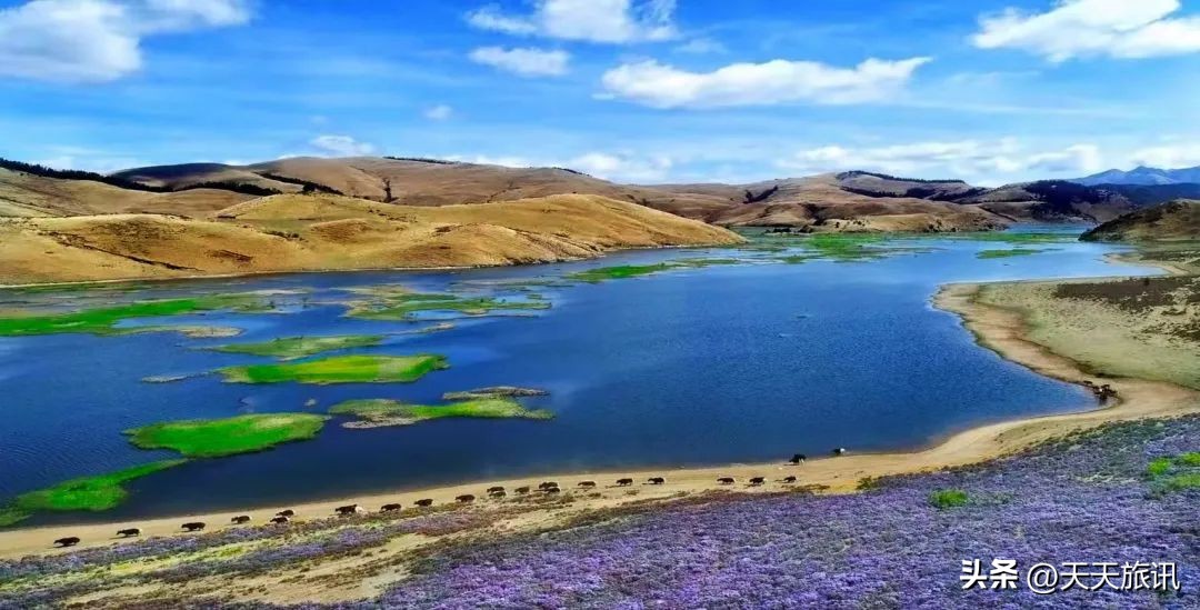 四川凉山隐藏的景点,四川凉山有哪些值得一去的景点