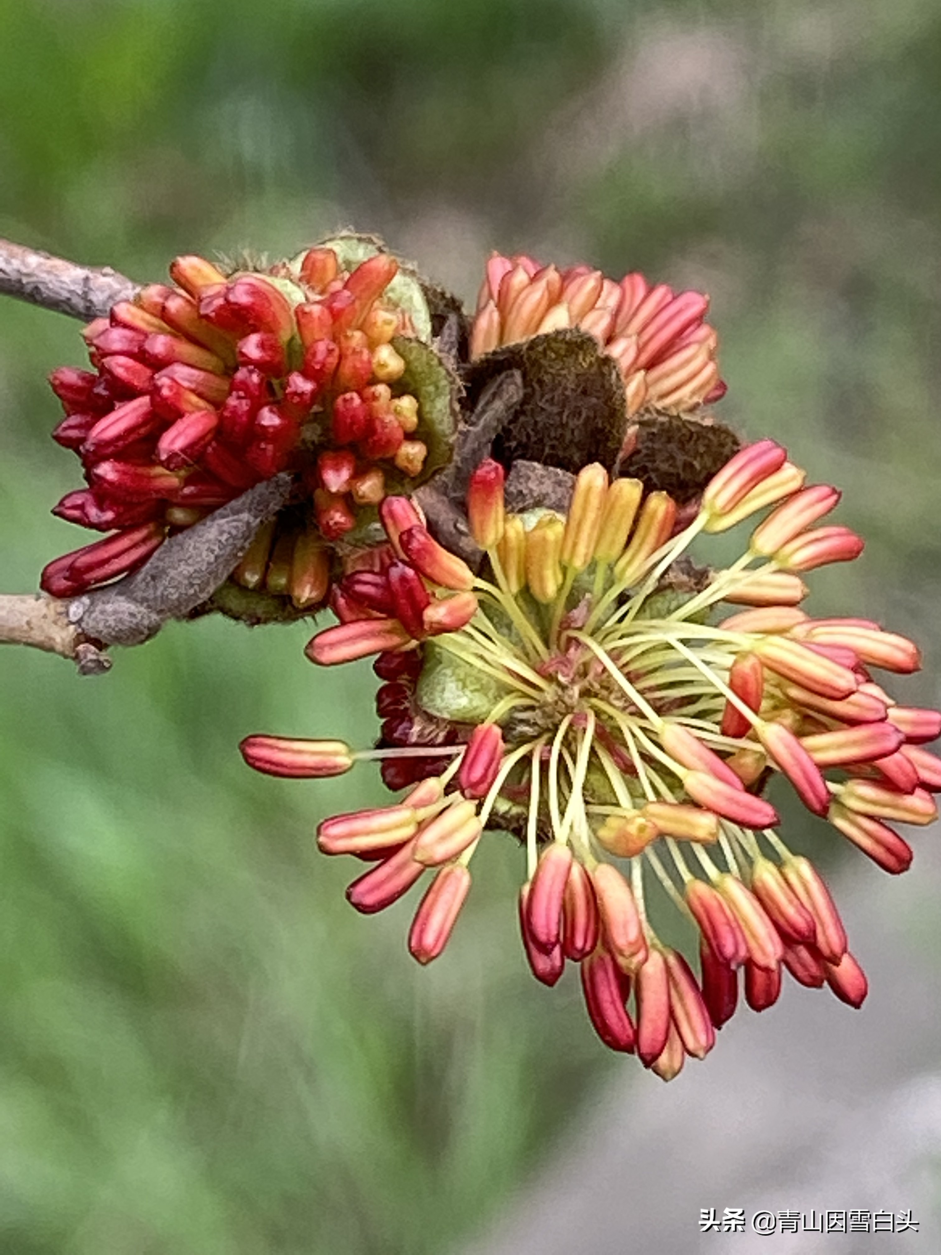 前景好的4个农村创业项目,十大适合目前农村创业的项目