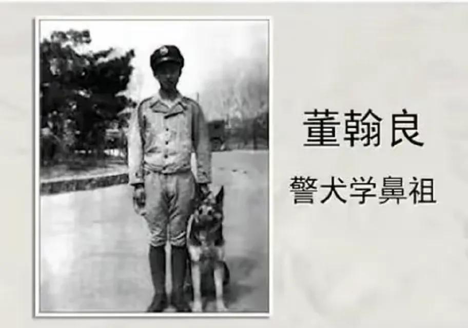 一小战士被鬼子推进狼狗池，10条狼狗扑上来，他冷笑：再多来几只