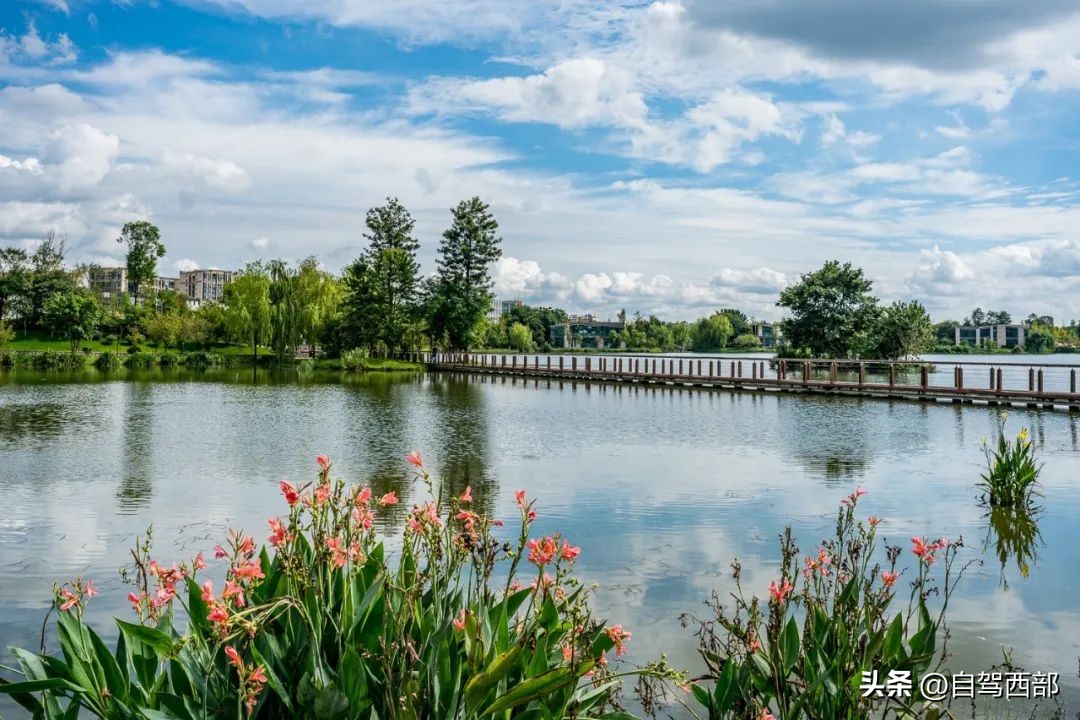 成都兴隆湖湿地公园在哪个区,成都桤木河湿地公园旅游攻略