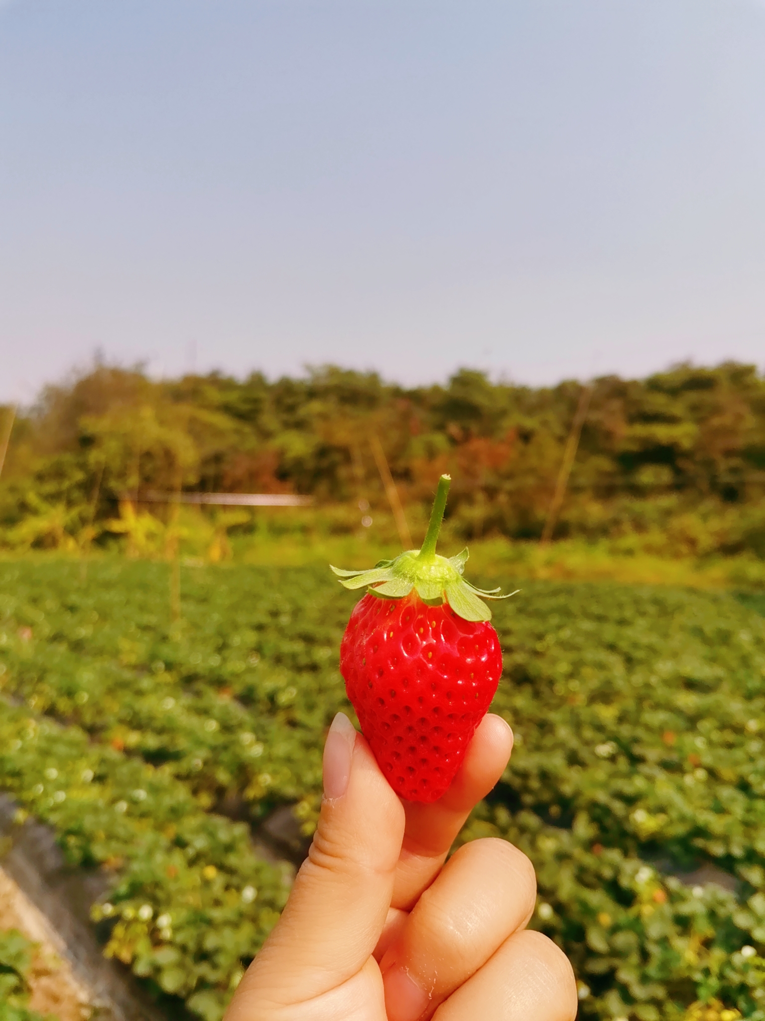 38妇女节文案高级,38妇女节文案女装