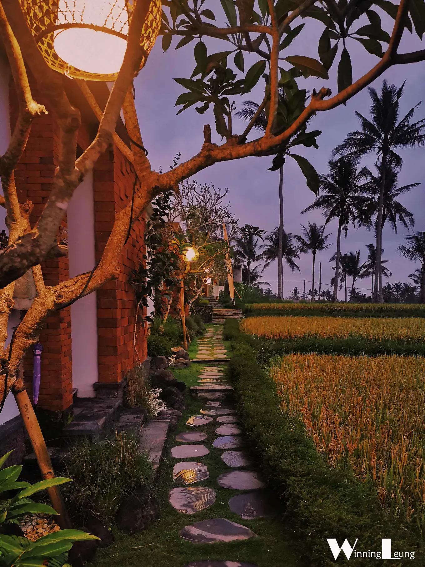 巴厘岛旅游攻略漂浮餐 (巴厘岛旅游必备食物有哪些)