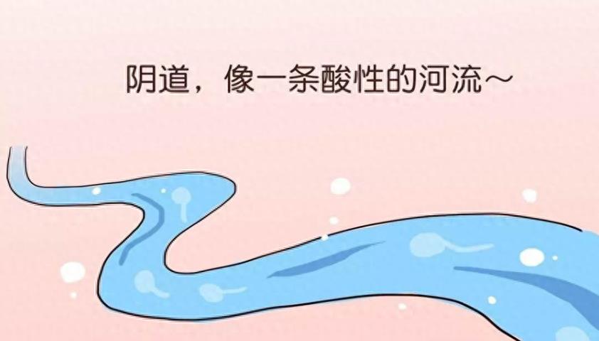 失落的小勇士们,踏上了怀孕之路