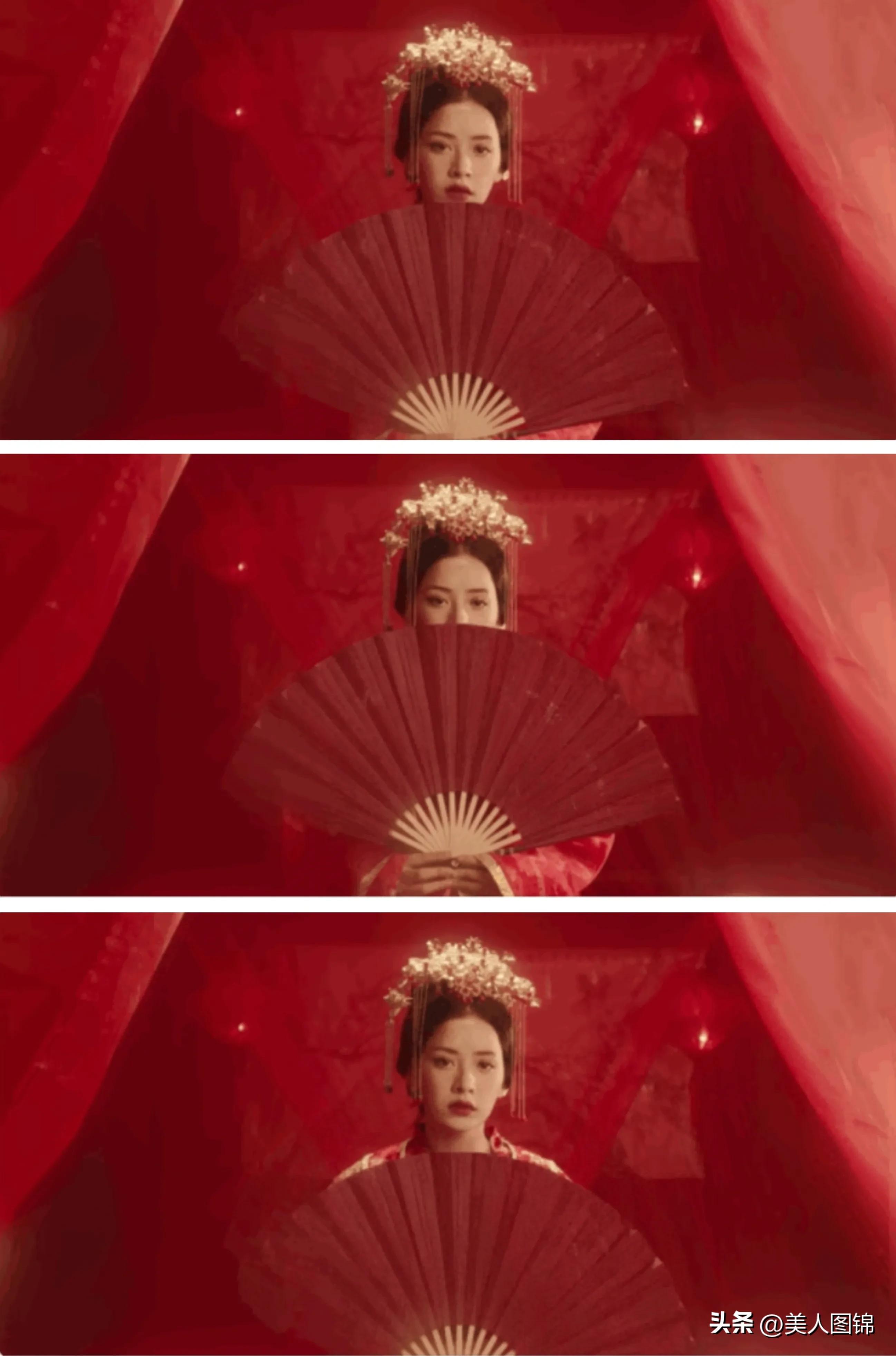 越南芝芙,芝芙越南