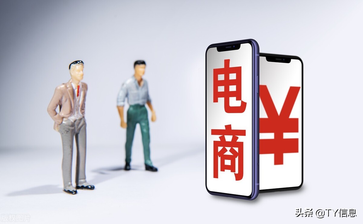 互联网项目盈利模式怎么写,翟大鹰互联网平台盈利模式