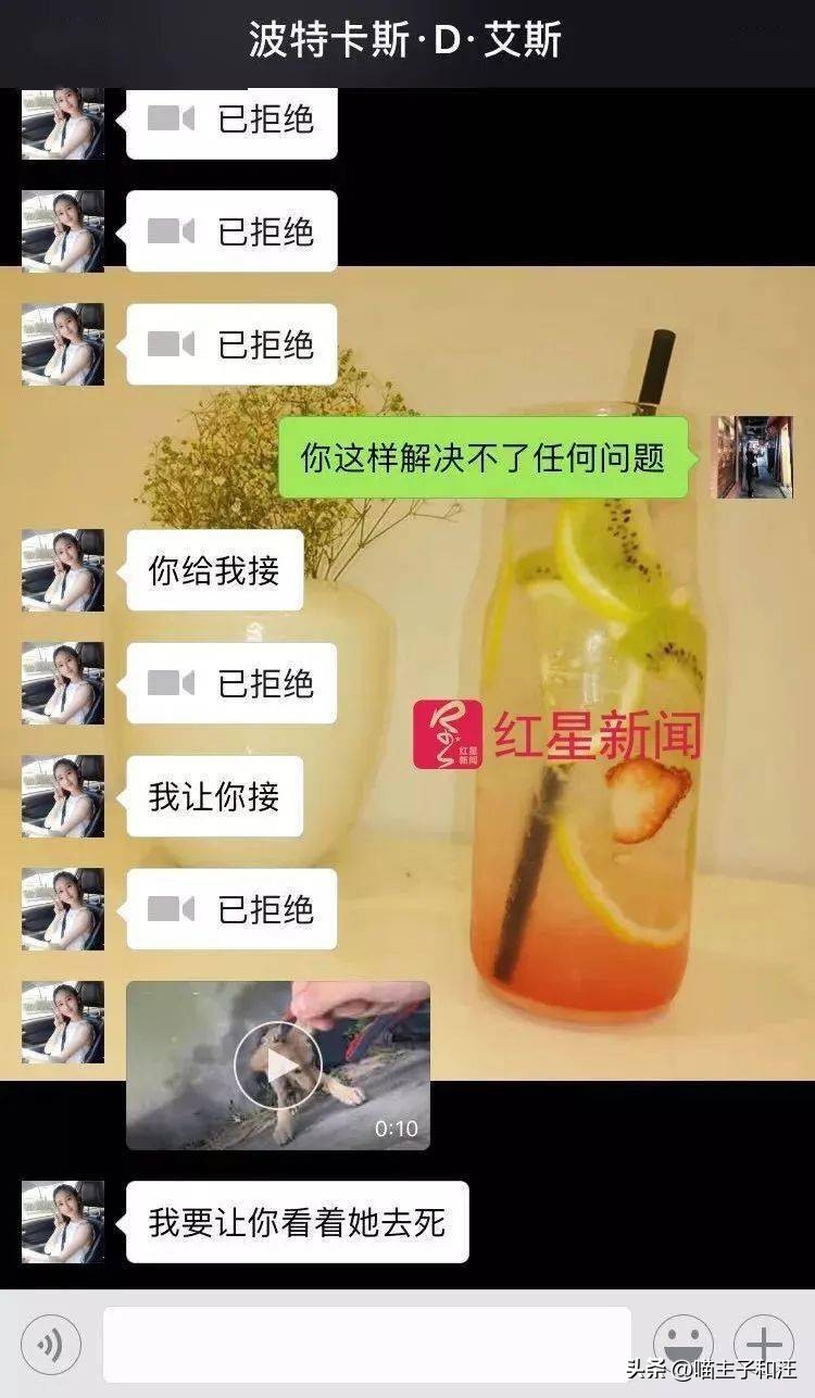 猫被打成脑震荡,猫咪被我打成应激脑震荡