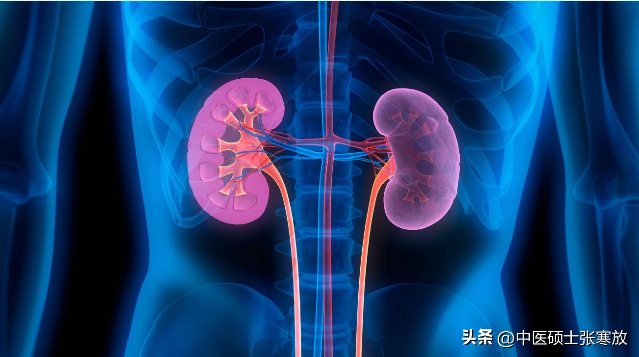 睾丸潮湿湿热用什么中药,睾丸潮湿下焦湿热怎么治疗