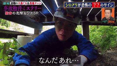 夫妻俩买婚房不料是凶宅下集,夫妻住在凶宅的真相