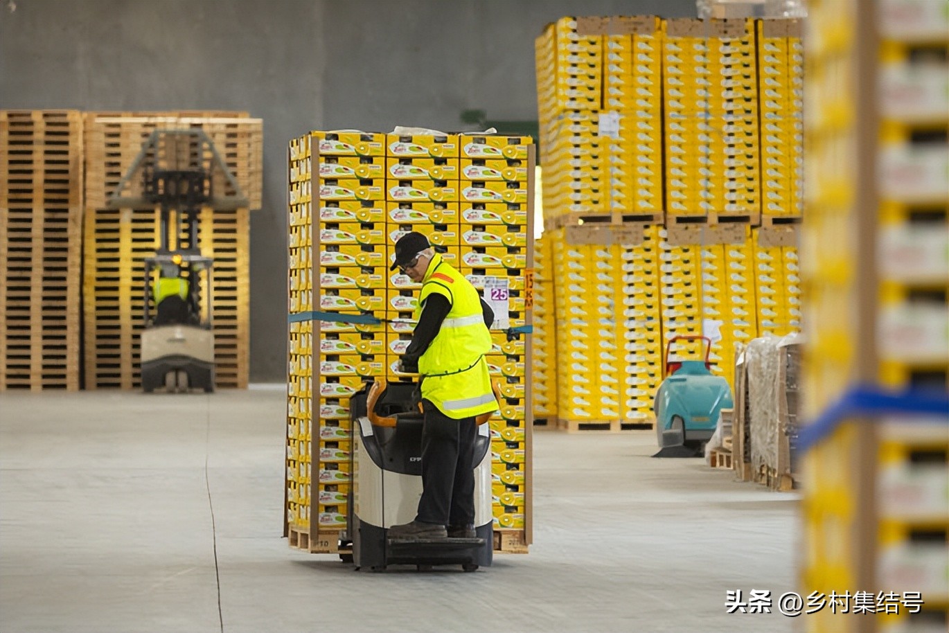 奇异果之都蒂普基地形图,新西兰奇异果小镇蒂普基