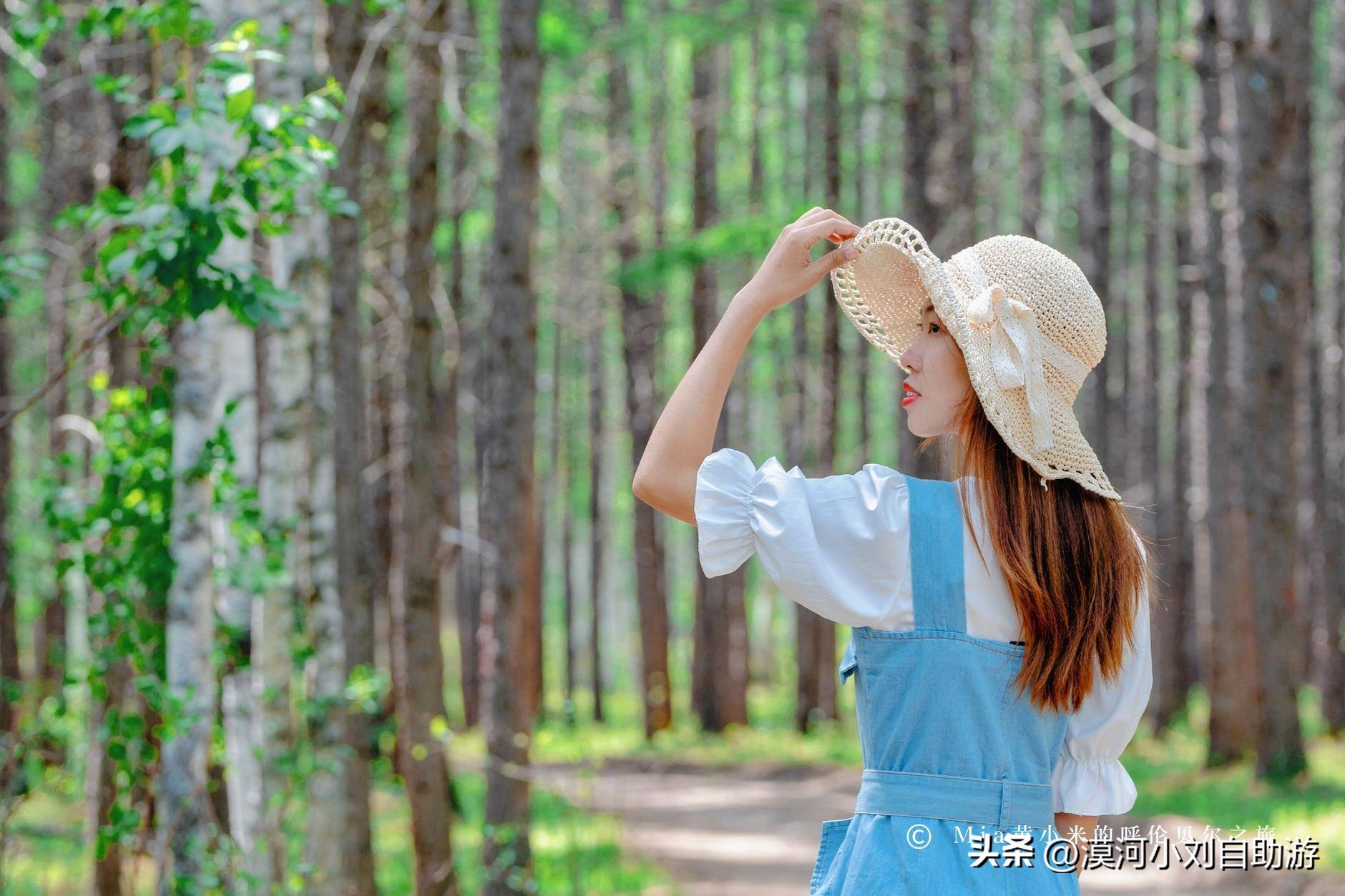 呼伦贝尔漠河8天7晚深度游,呼伦贝尔和漠河旅游攻略