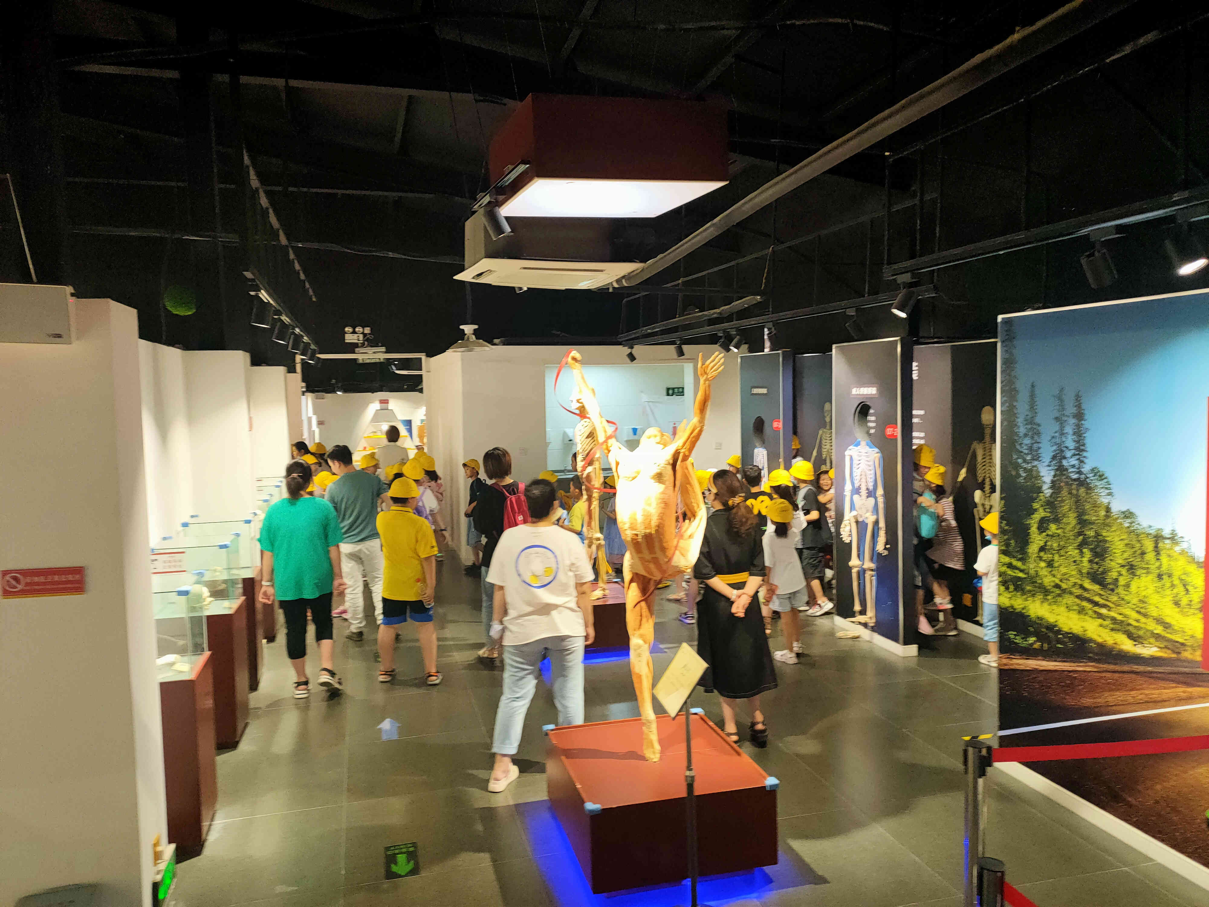 郑州周边游玩夏季景点攻略,郑州周边避暑旅游景点推荐