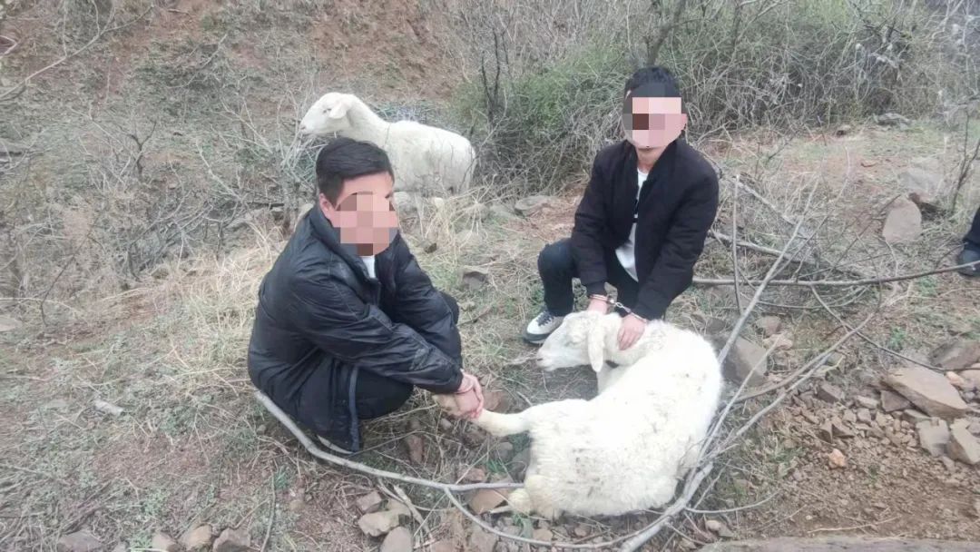 宜君公安打击电信诈骗,洛宁公安查获电信诈骗案件