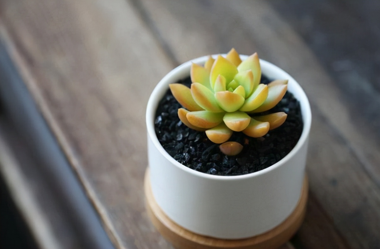 为什么兄弟姐妹之间心机如此深,兄弟姐妹之间交往最忌讳这五件事