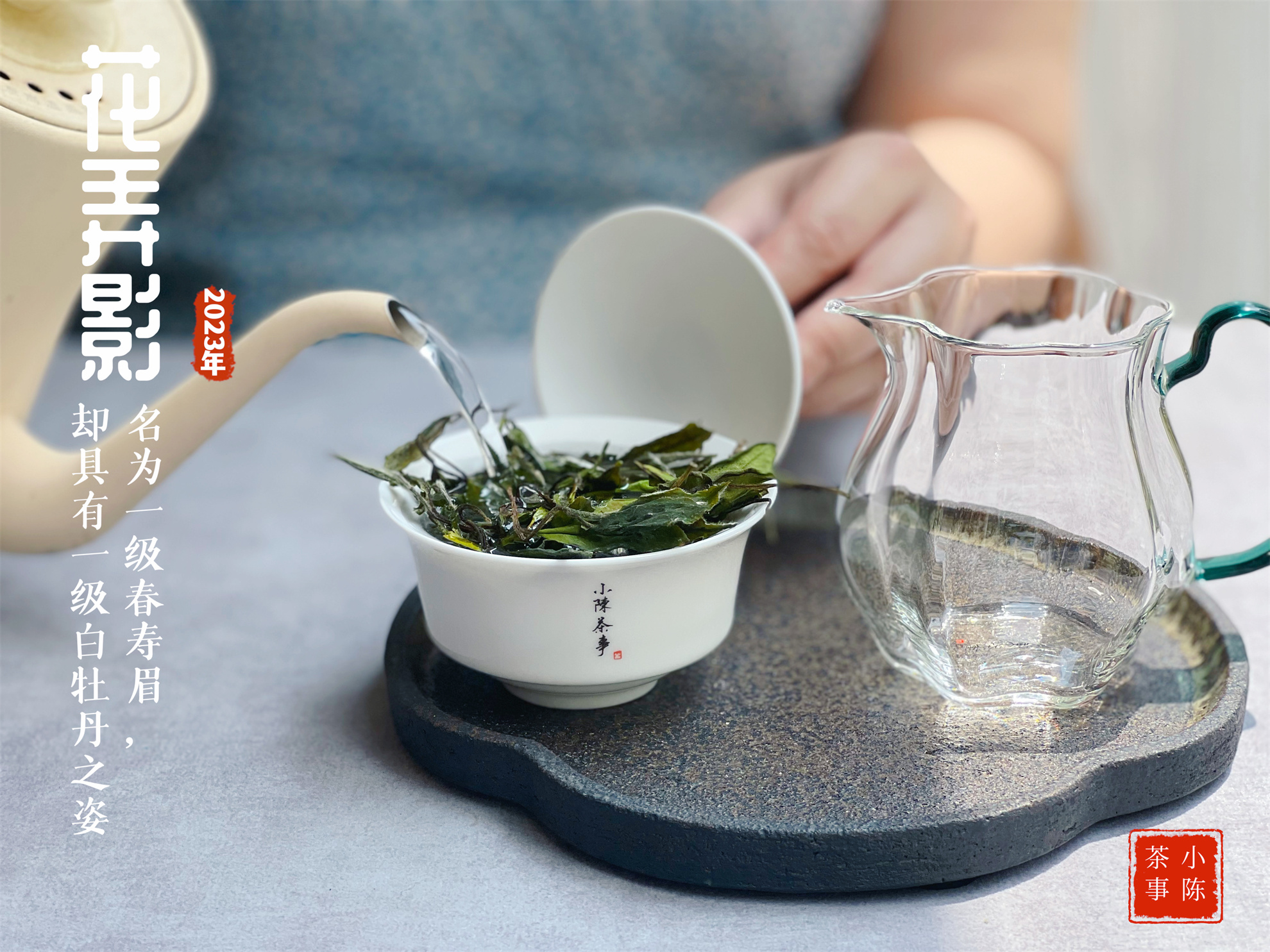 100克白茶400元,100元以内的白茶推荐