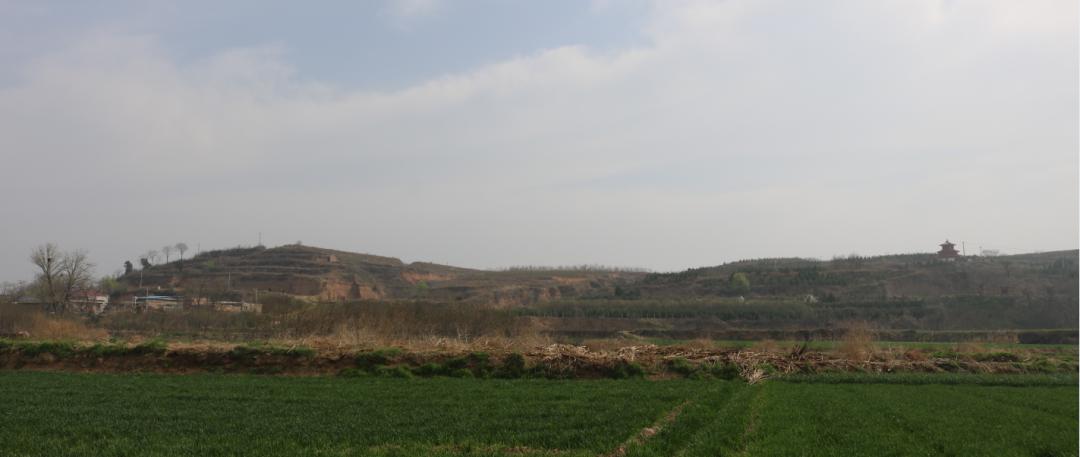 富平县粮食补贴,2022富平县粮食收购价