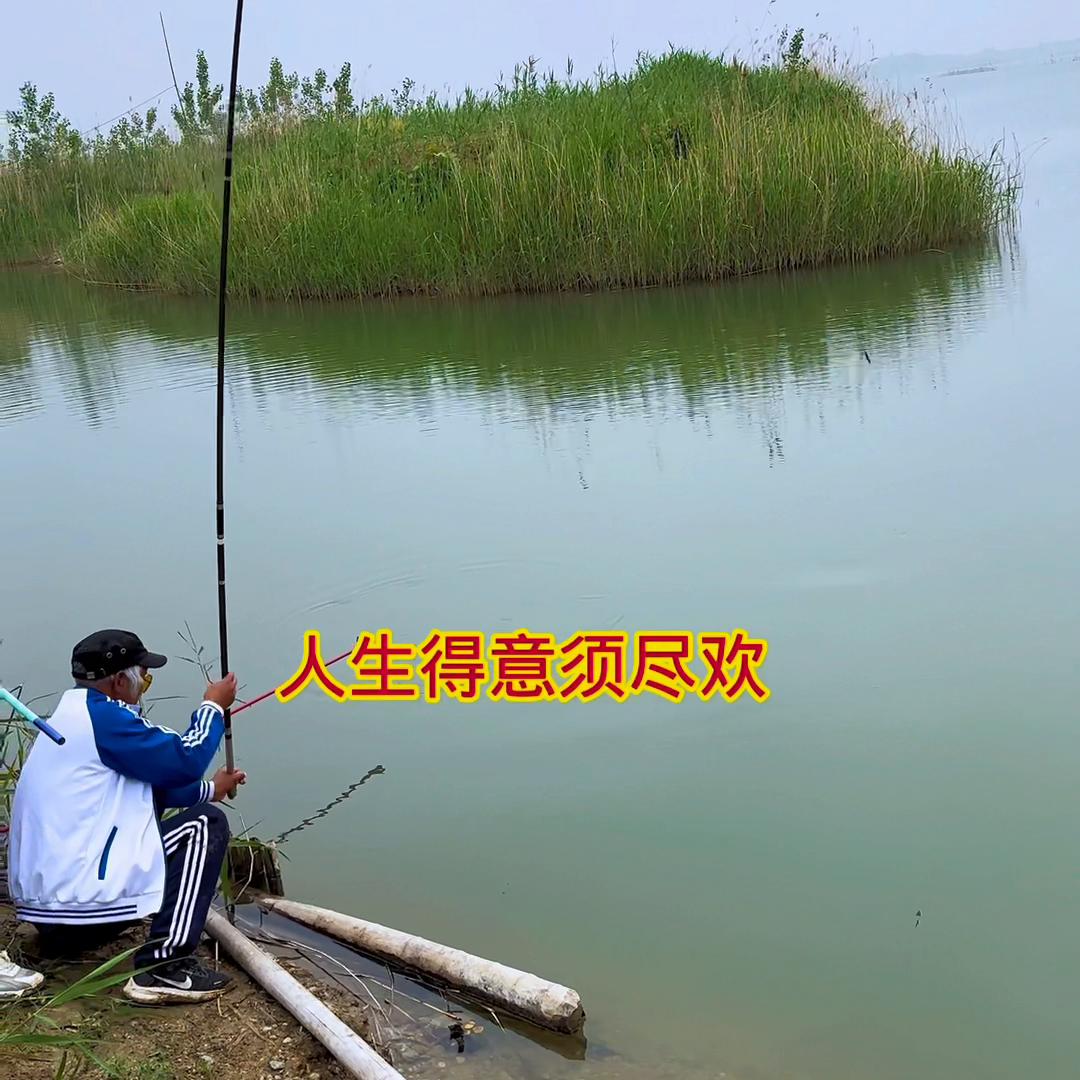休闲野钓小钩细线遇大鲤鱼#新手垂钓技巧