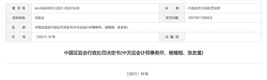 中天运胜通集团,公司财务造假案例