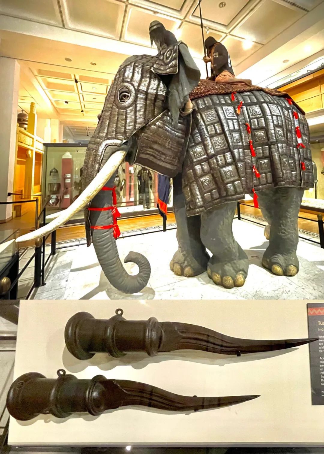 大开眼界30张有趣且罕见的趣图,20张让你涨知识的图