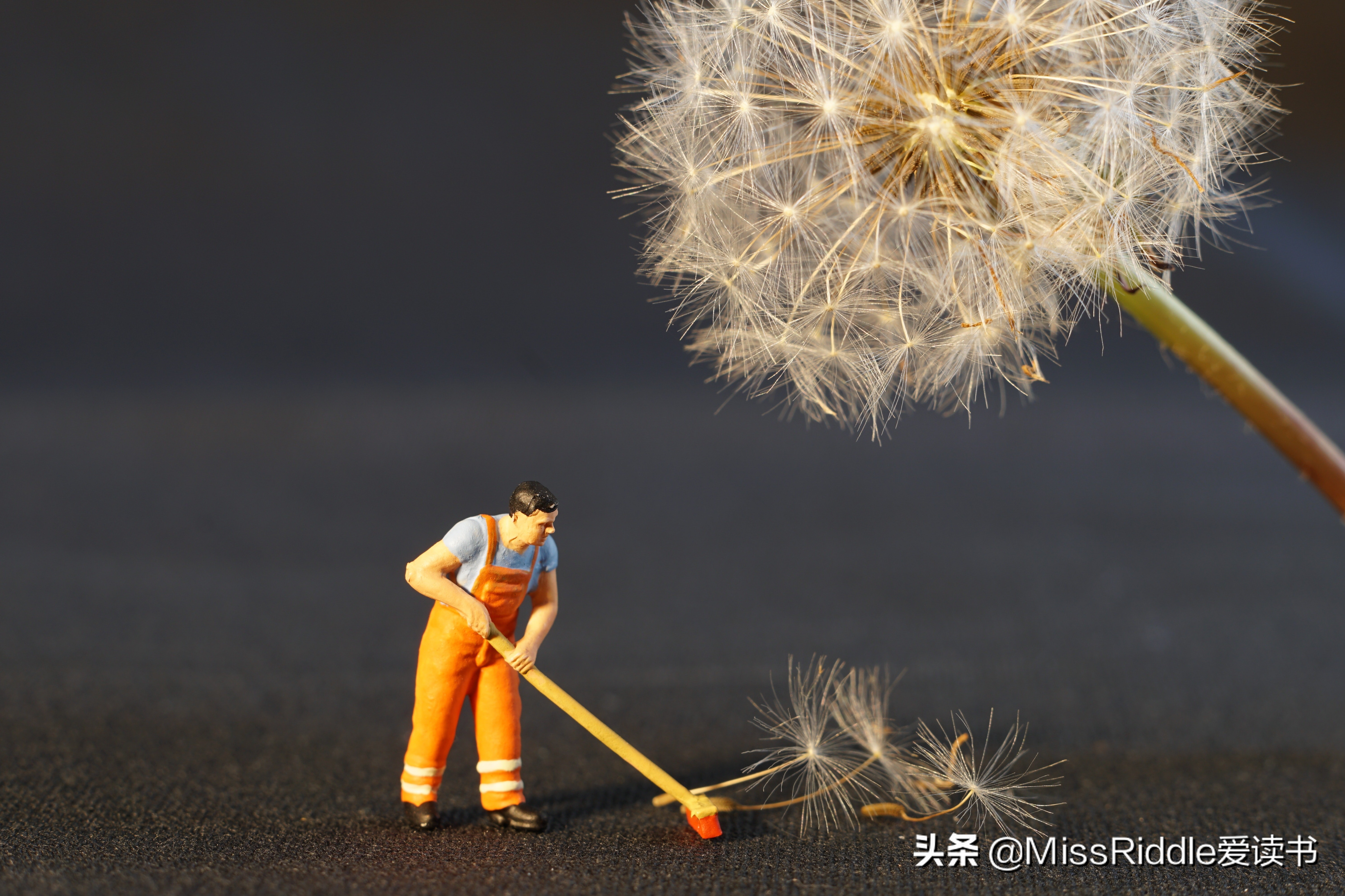 奥巴马催更的科幻小说,奥巴马写信催更的小说