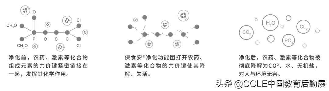 全力守护校园食品安全防疫,用心用情护航校园食品安全
