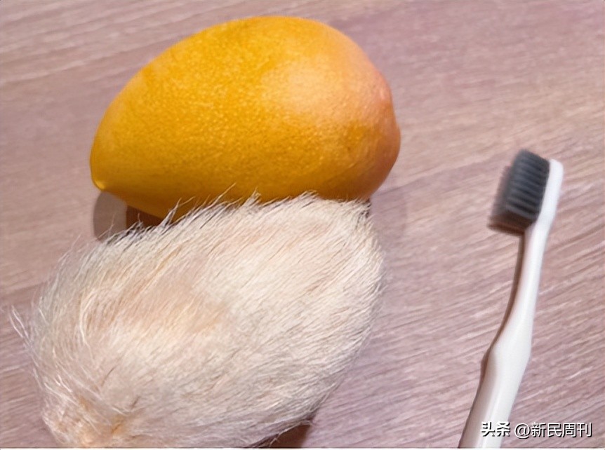 芒果核为啥要梳毛,给芒果核梳毛染发