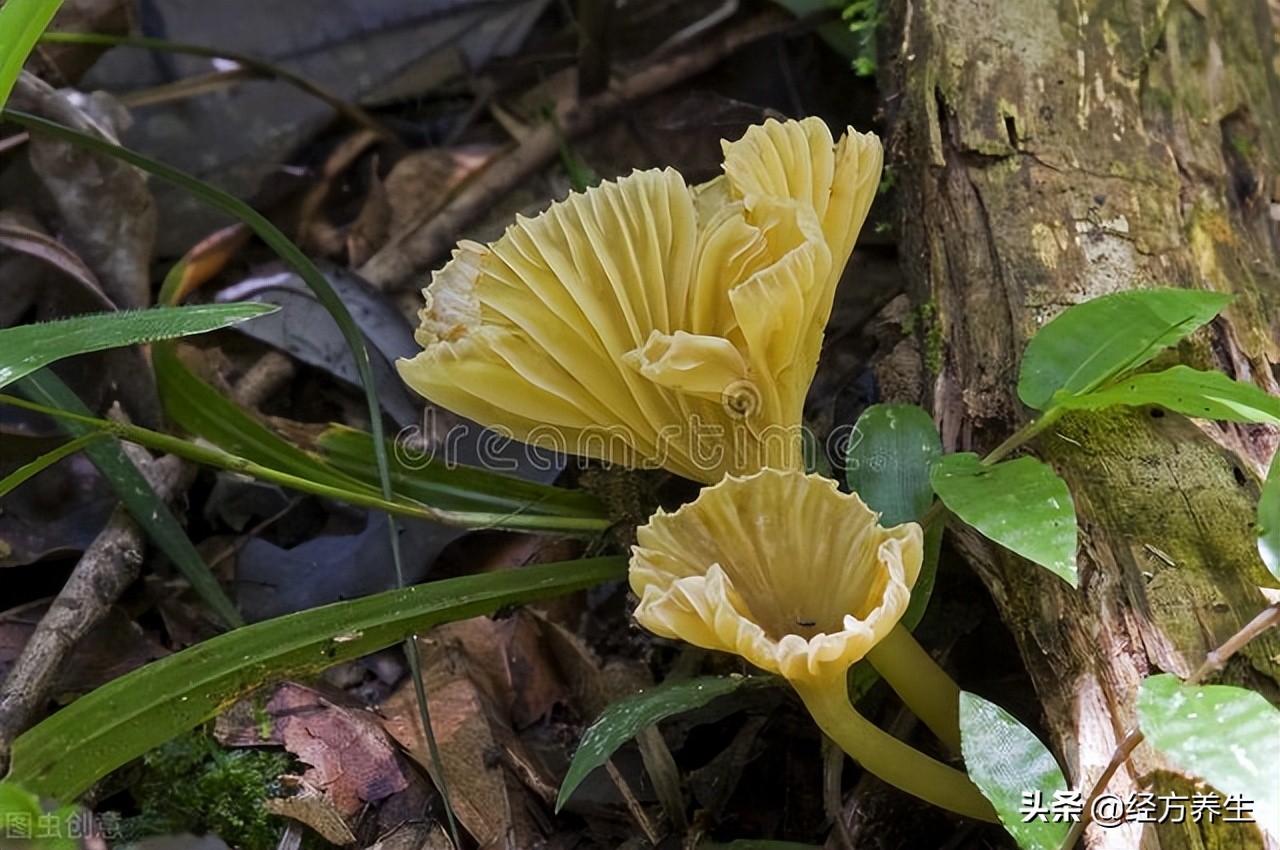 一到冬天脚出汗又臭是怎么回事,脚丫子一出汗就臭是什么原因