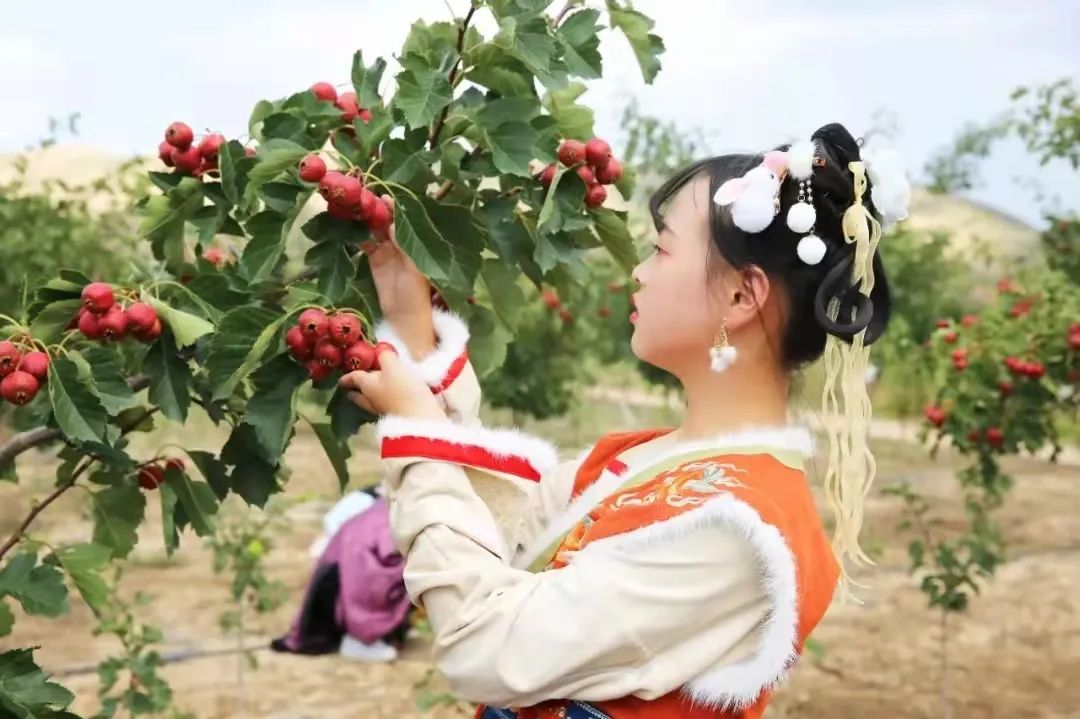 深秋等你到来,深秋等你来