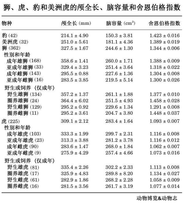 老虎怕狮子还是狮子怕老虎,狮子和老虎到底谁厉害有图有真相
