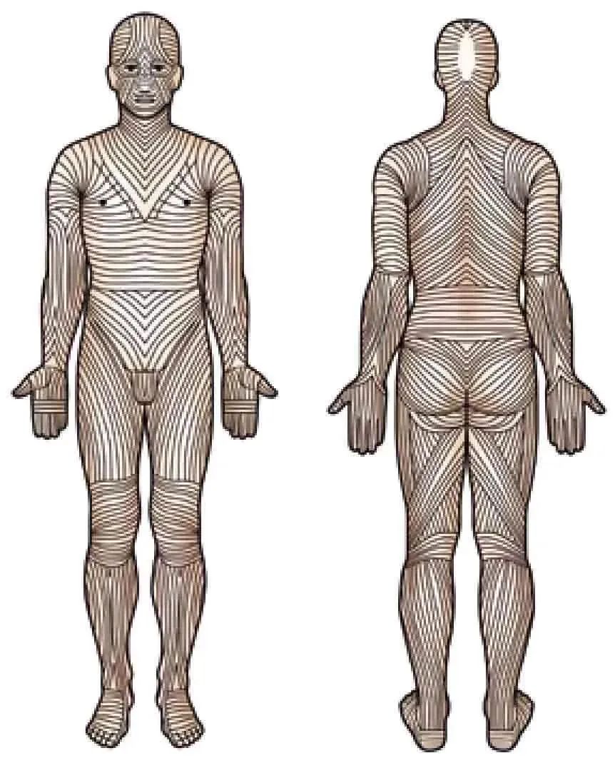 3分钟get:真正的外科缝合秘籍