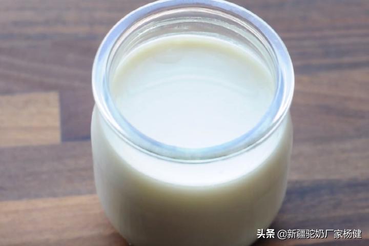 原始黄金有机骆驼奶,原始黄金骆驼奶怎么样