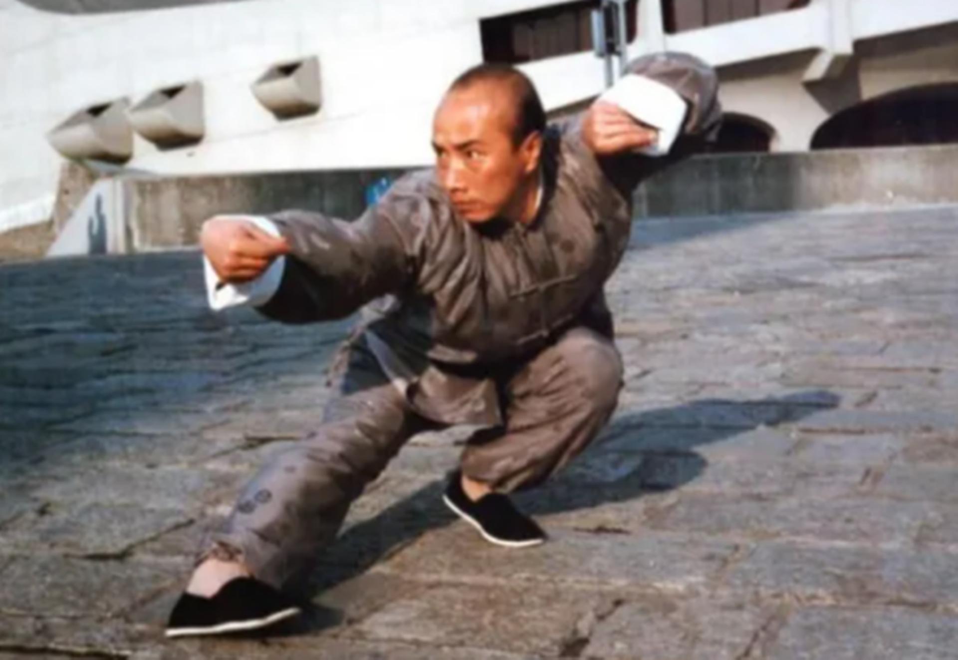 螳螂拳大师于海照片,螳螂拳于海李连杰