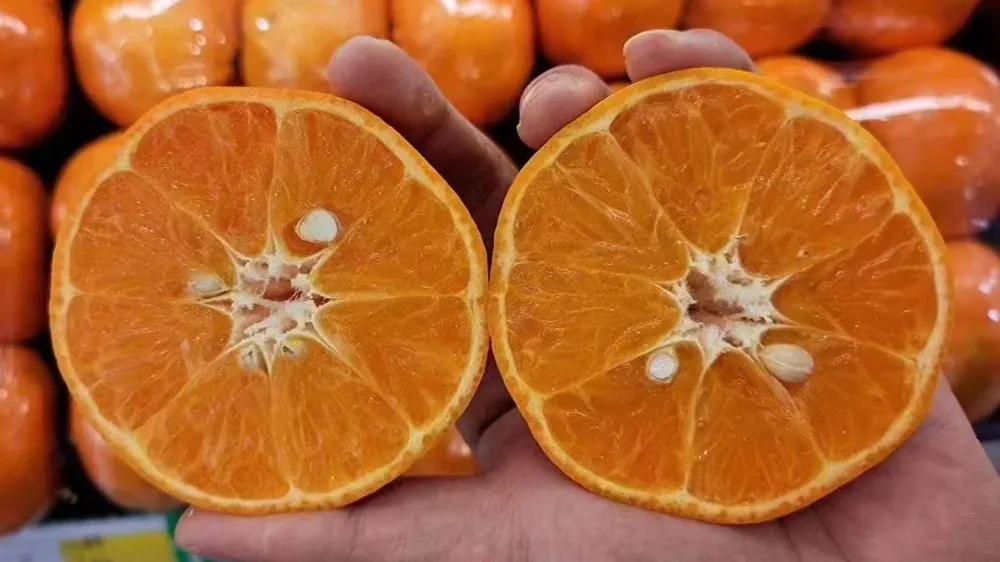 水果店新手怎么进货便宜，水果店怎么去进货