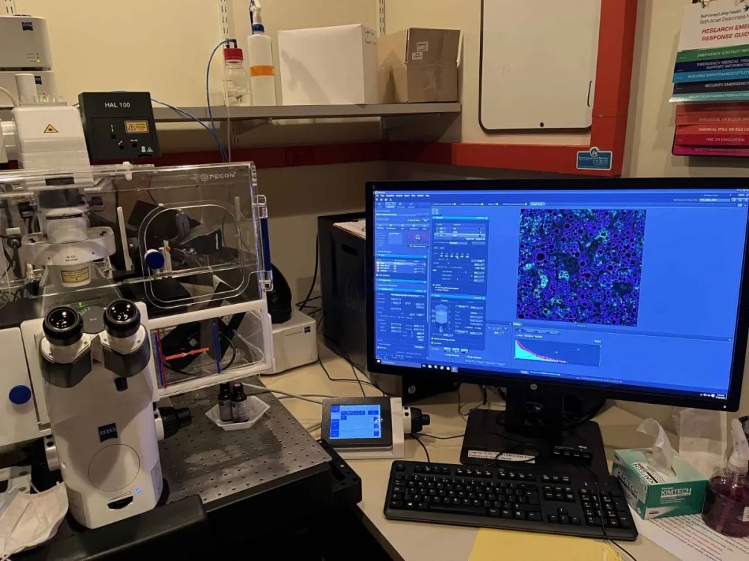 3步走进MIT顶尖科研夏校，这个普通的亚裔女孩，凭什么开的“挂”？