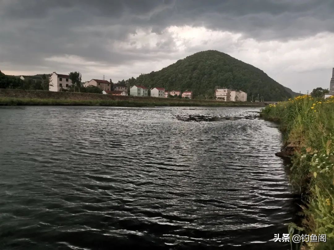 水质太肥鱼该怎么钓,水太肥了鱼不开口怎么钓