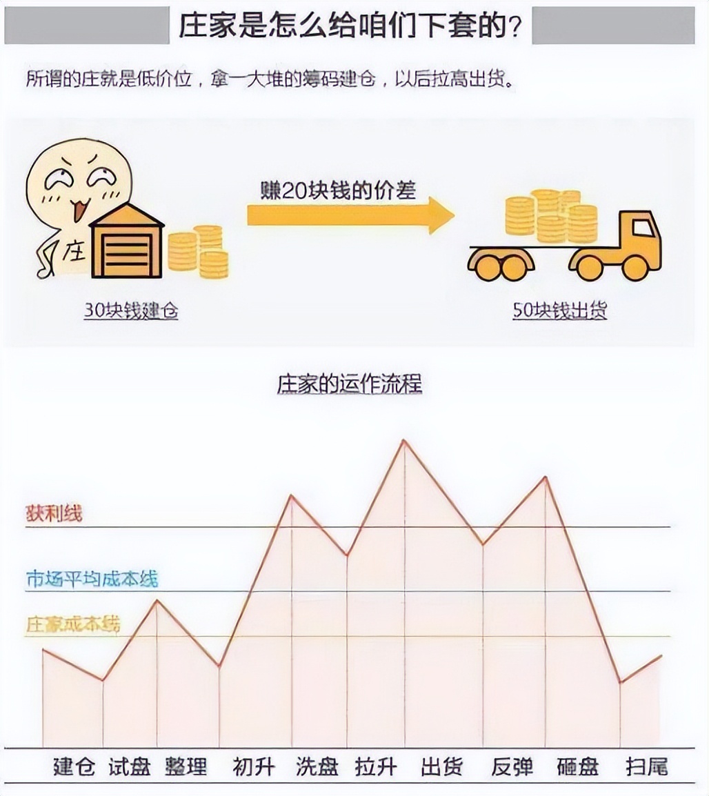 女博士回应中国股市背后的庄家,北大女博士谈中国股市背后的庄家