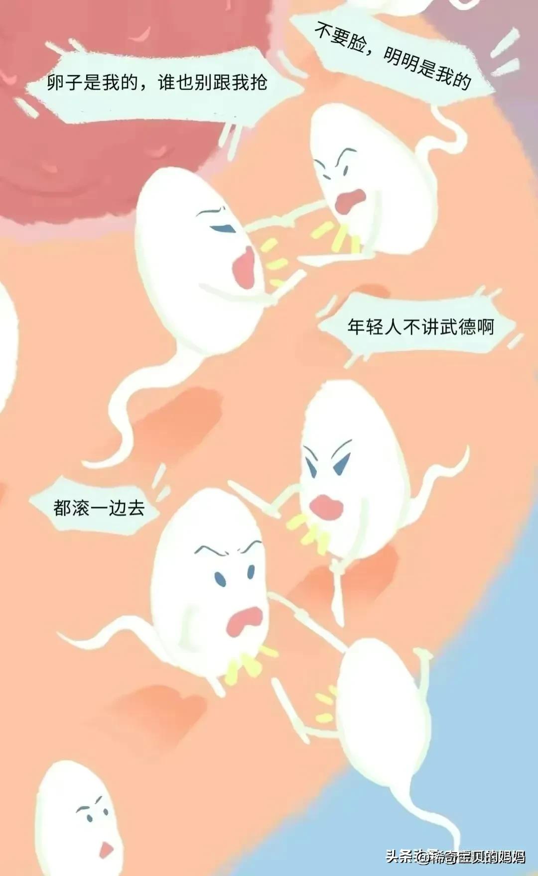 绮惧瓙杩涘叆浜轰綋12灏忔椂鍙樺寲,绮惧瓙杩涘叆浜轰綋24灏忔椂鍙樺寲