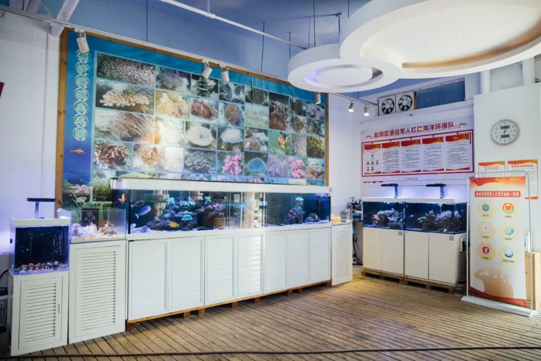 涓栫晫涓婃渶闀跨殑娴锋花鏍堥亾姊呮矙韪忔氮,涓栫晫涓婃渶闀跨殑娴锋花鏍堥亾