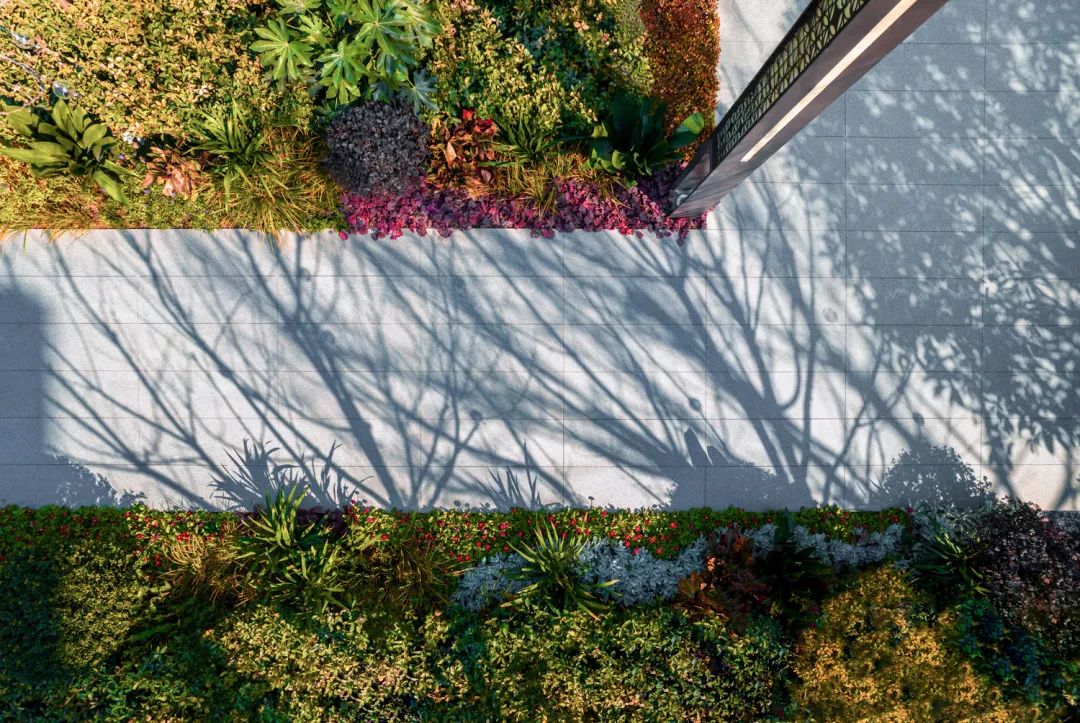 又一场惊艳西安的现象级交付！招商这份“高颜值”答卷值得满分！