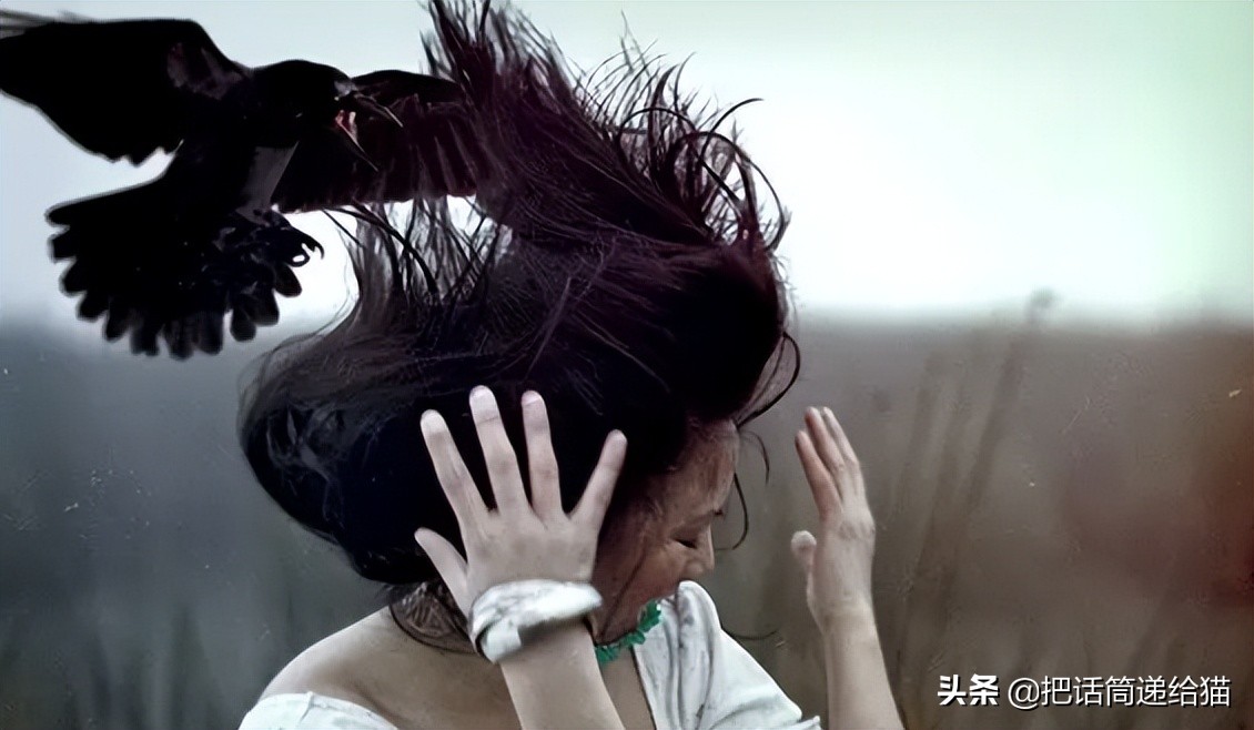 女孩救下一只差点被货车撞死的猫,小女孩救下乌鸦被夺走眼睛