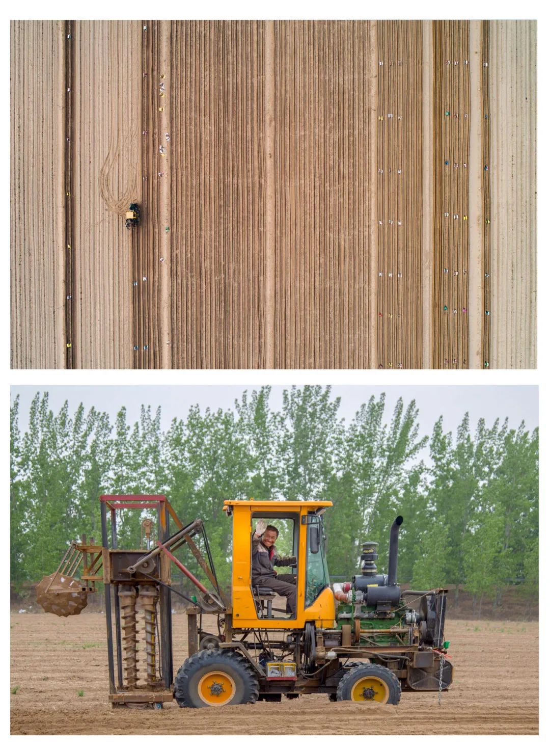 迎接党的20大美术作品,喜迎二十大乡村摄影展