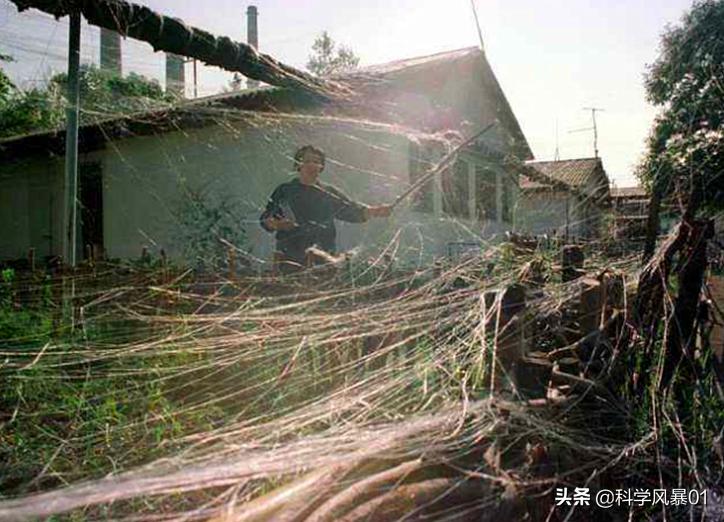 伊拉克石墨炸弹视频,石墨炸弹轰炸伊拉克