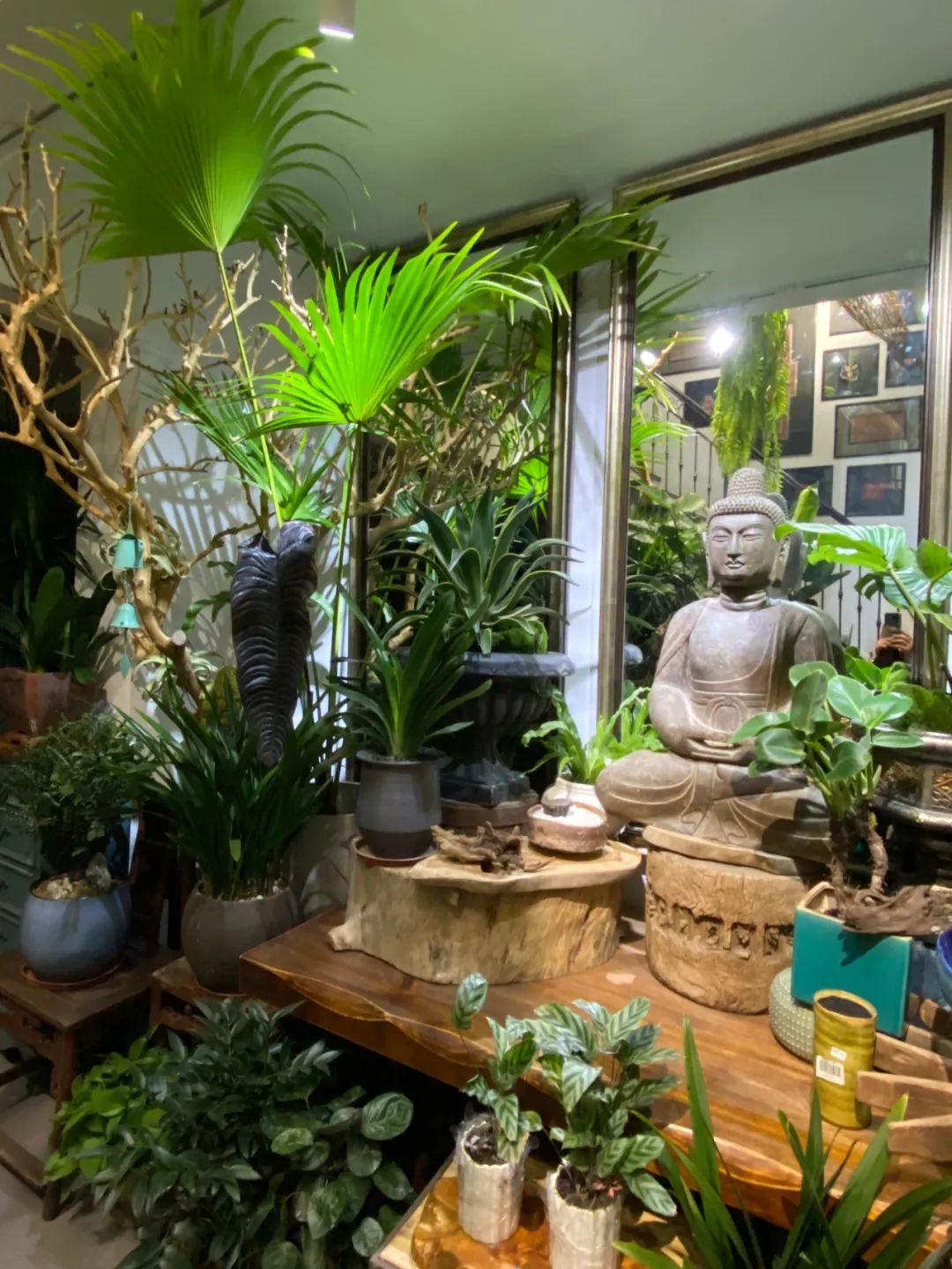 深圳这家开了24年的老字号,深圳开花店