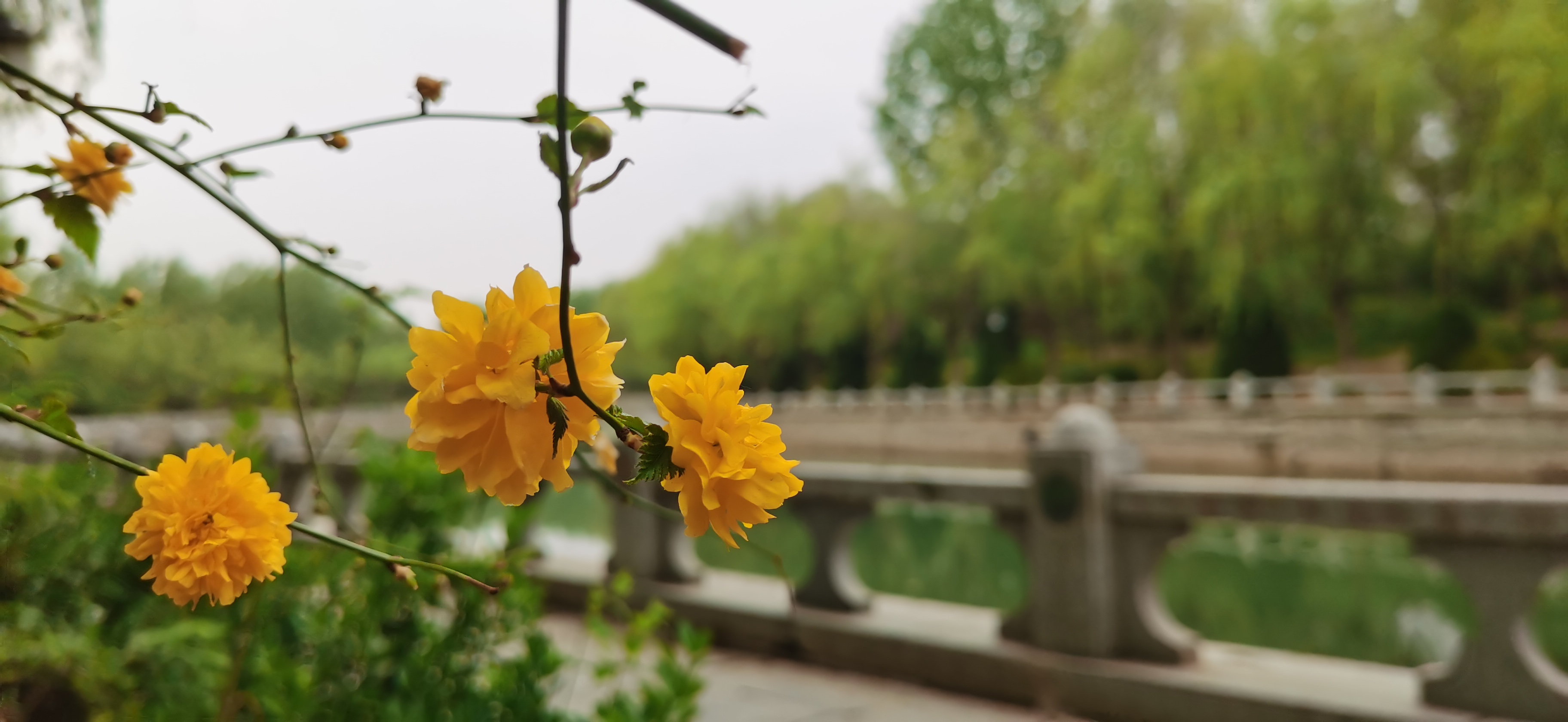 2023106期福彩3D游戏：2路号码可以热开，别再开号码8了行吗？