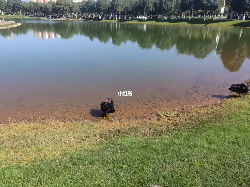 云南大学呈贡校区值得逛逛的地方,彩云之南昆明之行结束