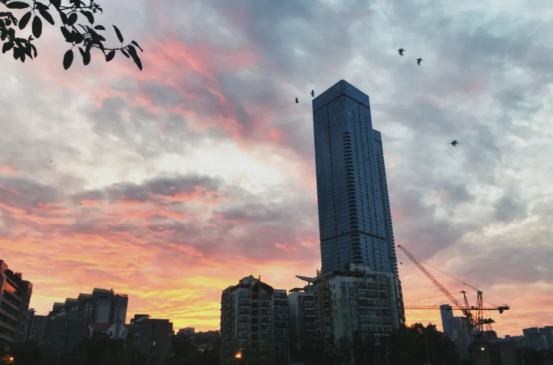 生活在公园城市,生活在公园城市里