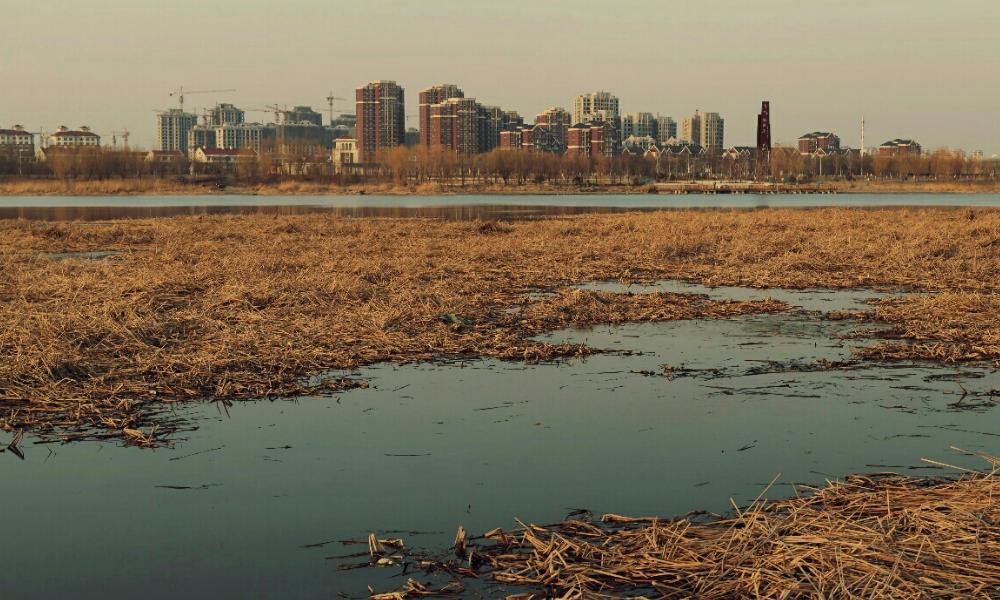 夏克明杀人案完整,杀人犯夏克明