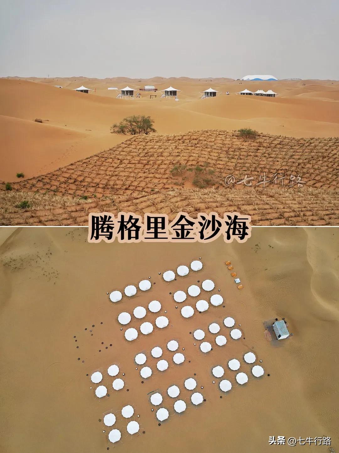 宁夏沙湖自由行攻略,宁夏沙坡头免费游