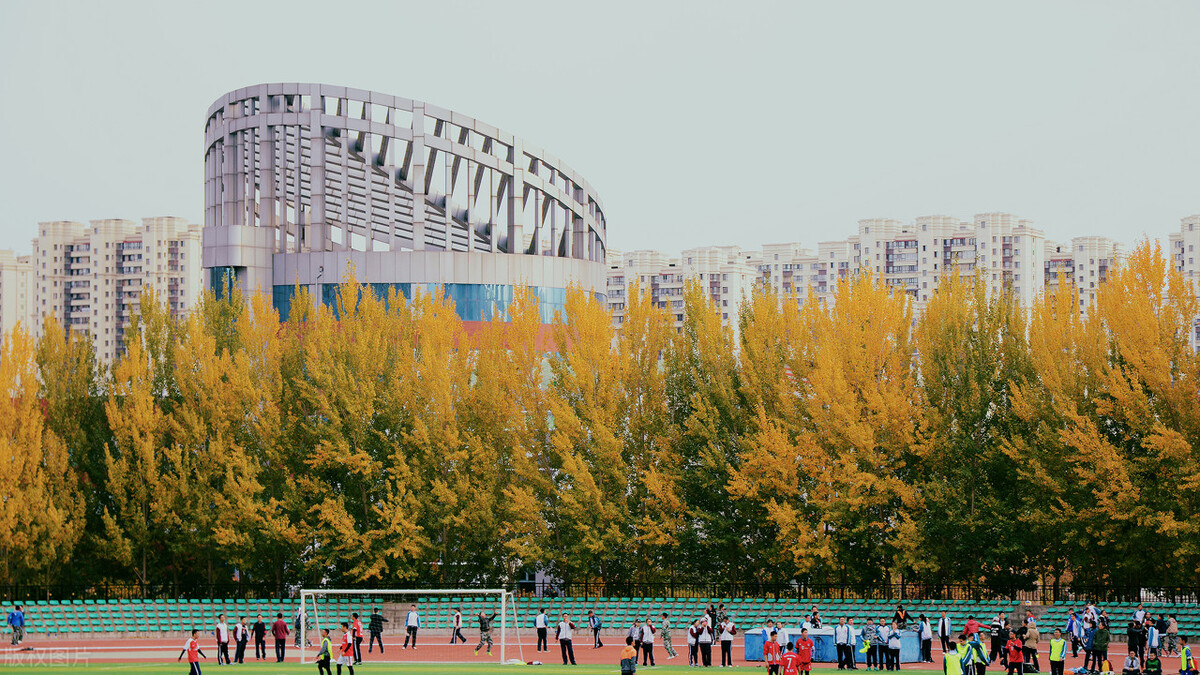 哈尔滨中考排名在多少能上省重点,哈尔滨17中中考多少名能进省重点