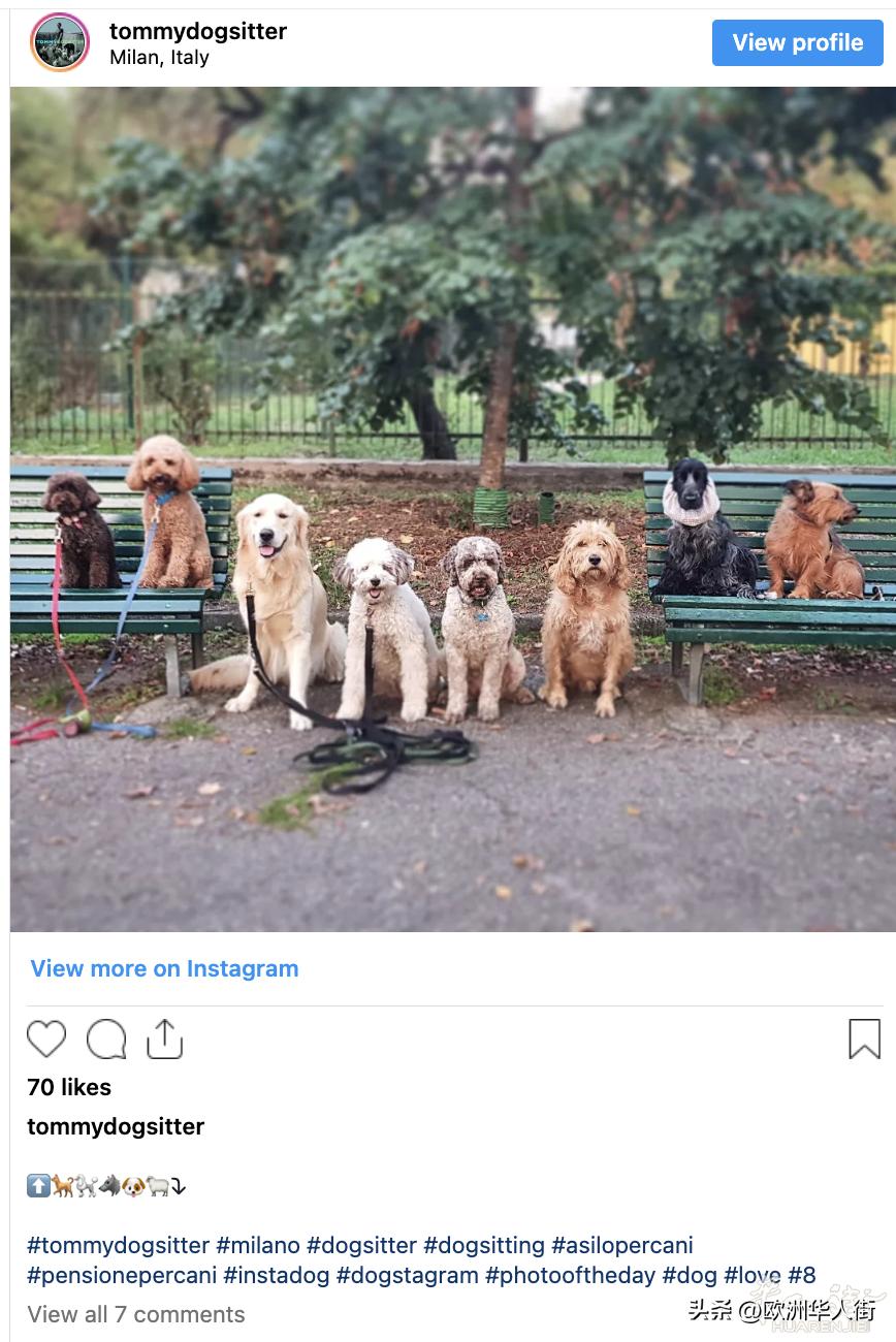 在意大利当保姆要学什么,在意大利工作有多牛