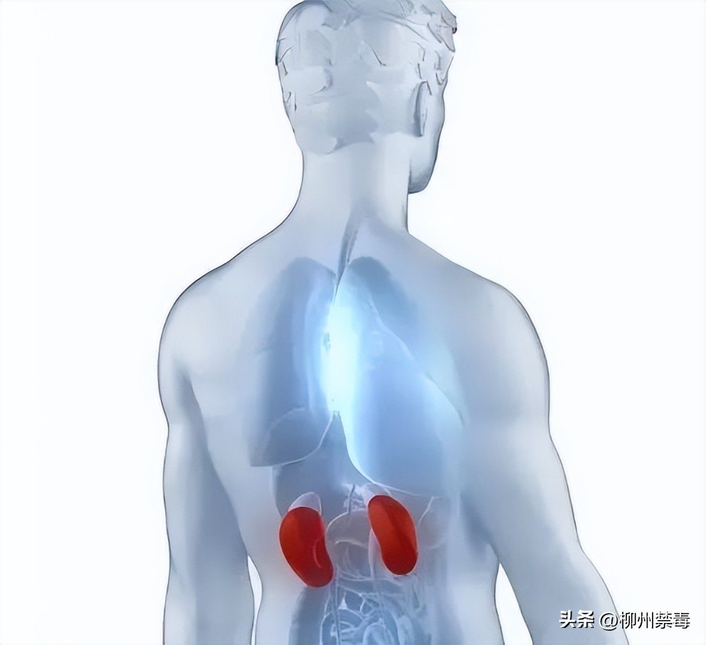 热搜!高三学生3小时4片止痛药成肾衰竭!止疼药滥用不仅会成“毒药”还会变*品毒**!